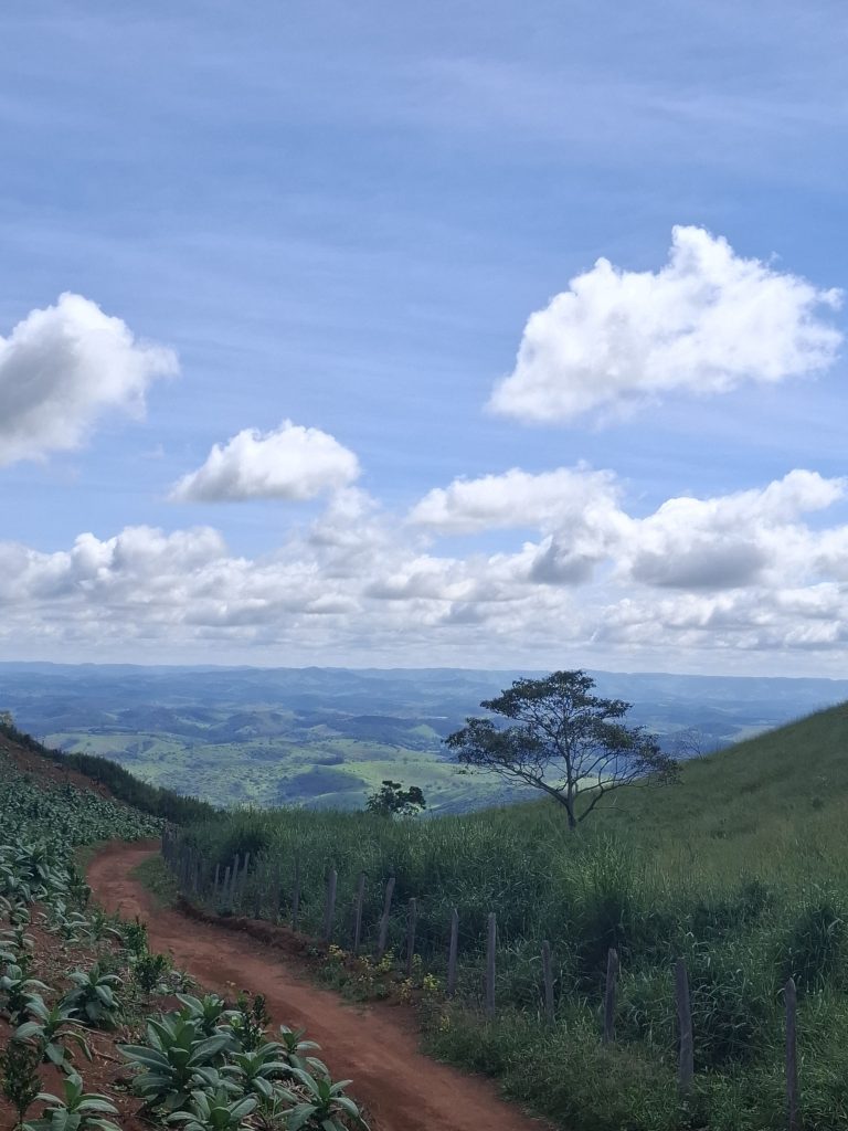 20250420_115827-experiencias-raizes-e-memorias