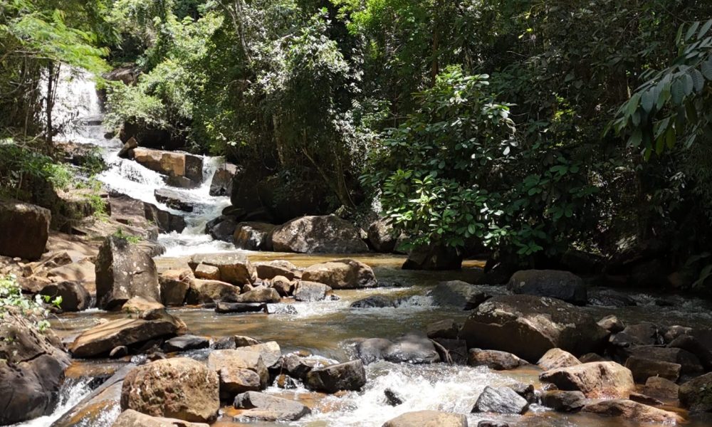 DJI_20250215114231_0685_D-experiencias-raizes-e-memorias